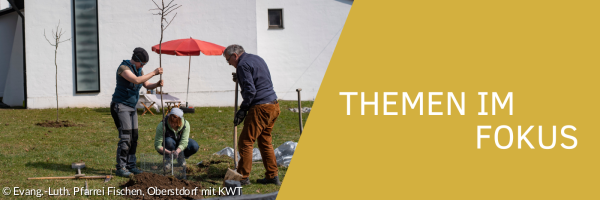 Drei Menschen pflanzen einen Baum